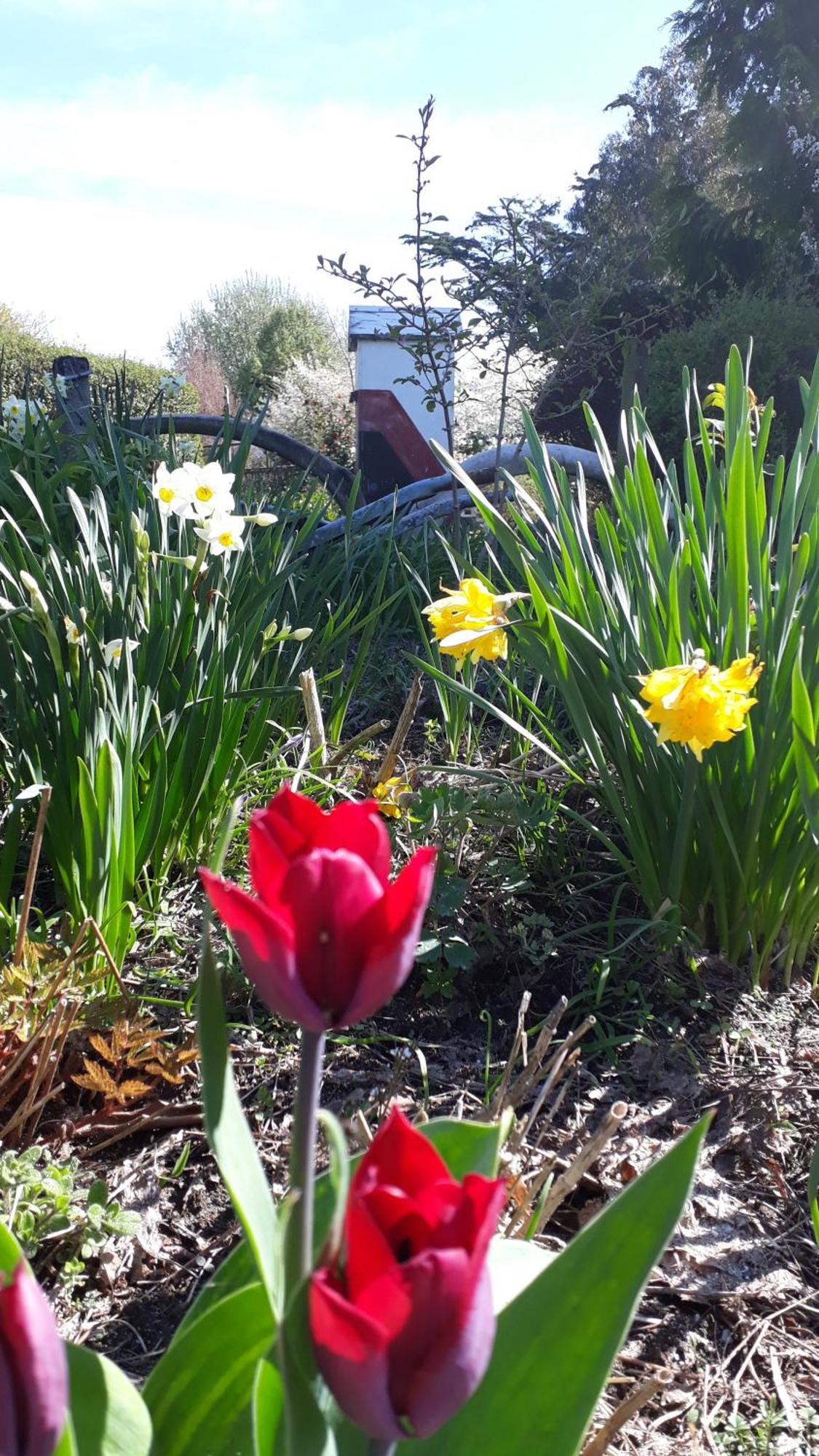 Folster Gardens Bed And Breakfast Invercargill Εξωτερικό φωτογραφία